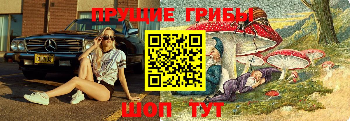 Рассказово  Галлюциногенные грибы Cubensis  Вход с VPN  Псилоцибиновые грибы GOLDEN TEACHER 